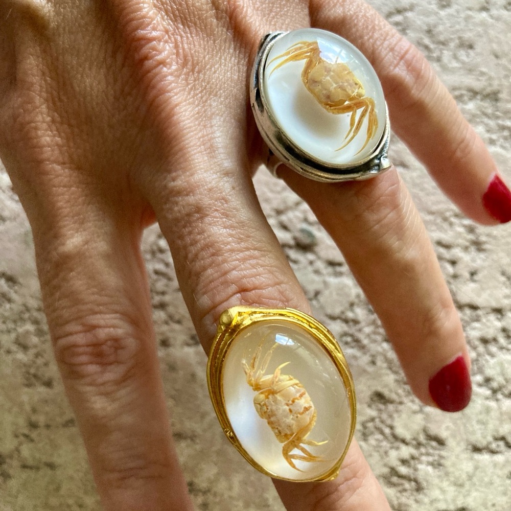 Real Crabs in Resin Rings Little preserved crustacean specimen jewelry pirate